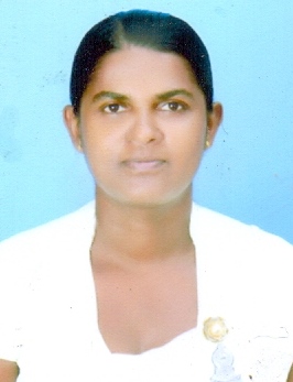 koggala11